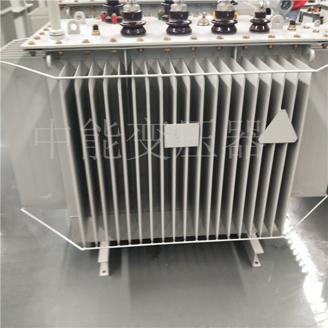 攀枝花S20-800KVA变压器