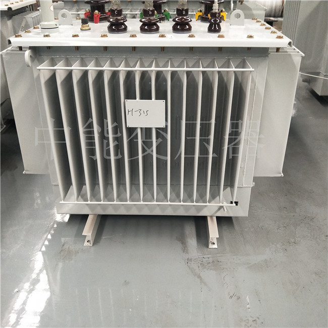 攀枝花S20-1250KVA/10KV变压器