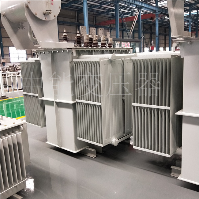 攀枝花S13-800KVA/6KV/0.4KV变压器