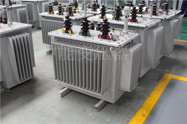 攀枝花S22-250KVA/10KV变压器
